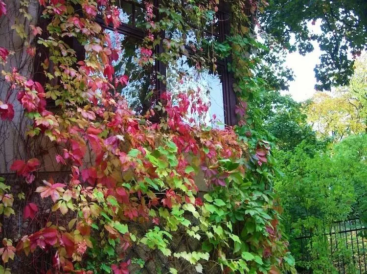 سوییت, Park Hotel Turku