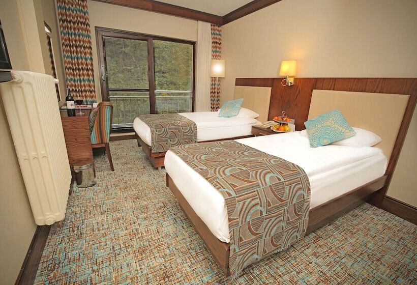 غرفة قياسية ذات إطلالة, Abant Palace