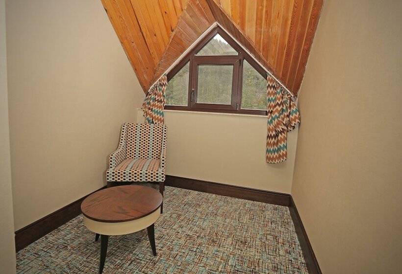 غرفة قياسية ذات إطلالة, Abant Palace