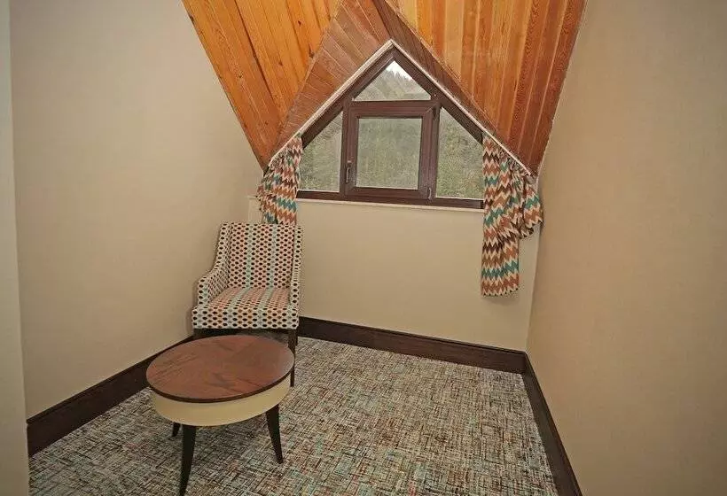 اتاق استاندارد با چشم‌انداز, Abant Palace