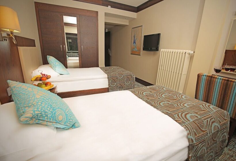 غرفة قياسية ذات إطلالة, Abant Palace