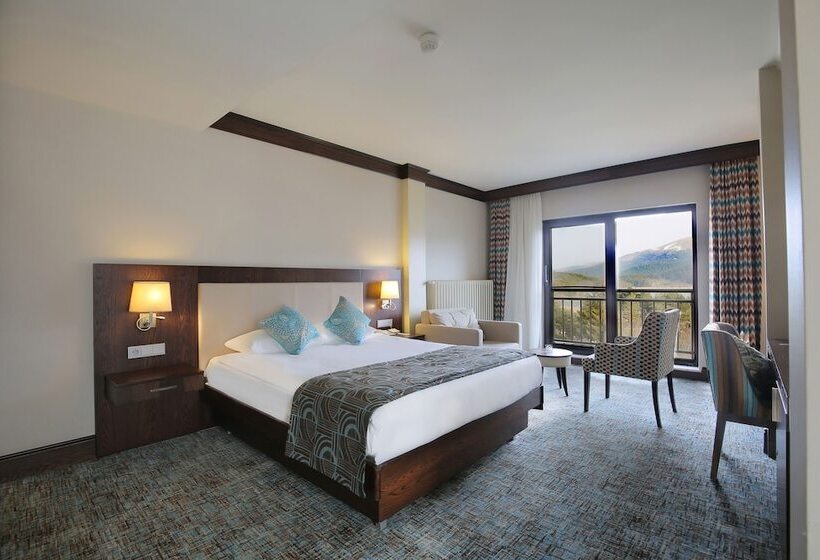 غرفة قياسية مطلّة علي البحيرة, Abant Palace