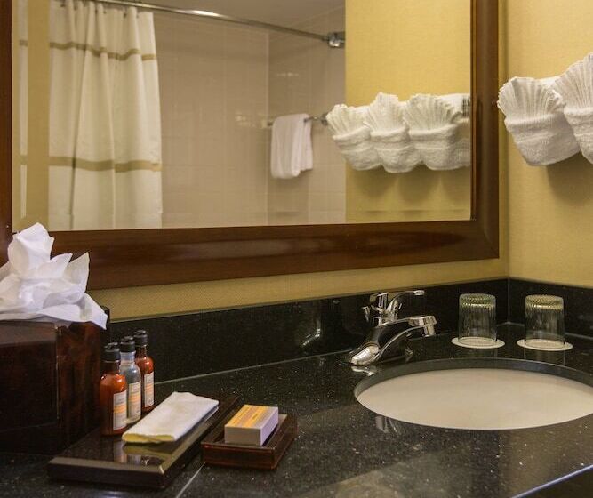 带2个双人床的标准工作室, Baltimore Marriott Inner Harbor At Camden Yards