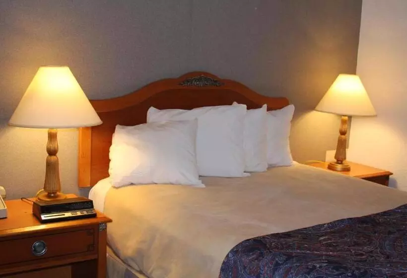 استودیو استاندارد با تخت کینگ, Days Inn & Suites By Wyndham Needles