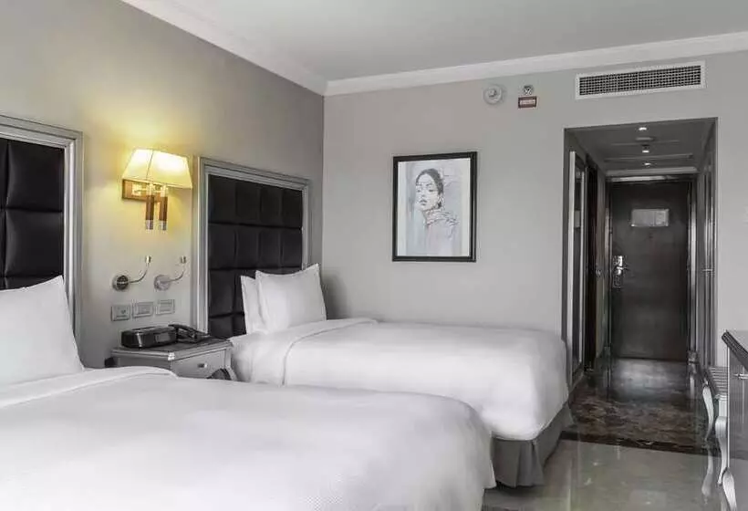 اتاق استاندارد, Hilton Alexandria Corniche