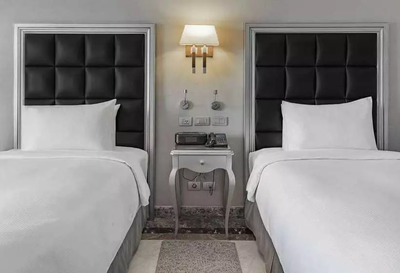 اتاق اجرایی, Hilton Alexandria Corniche