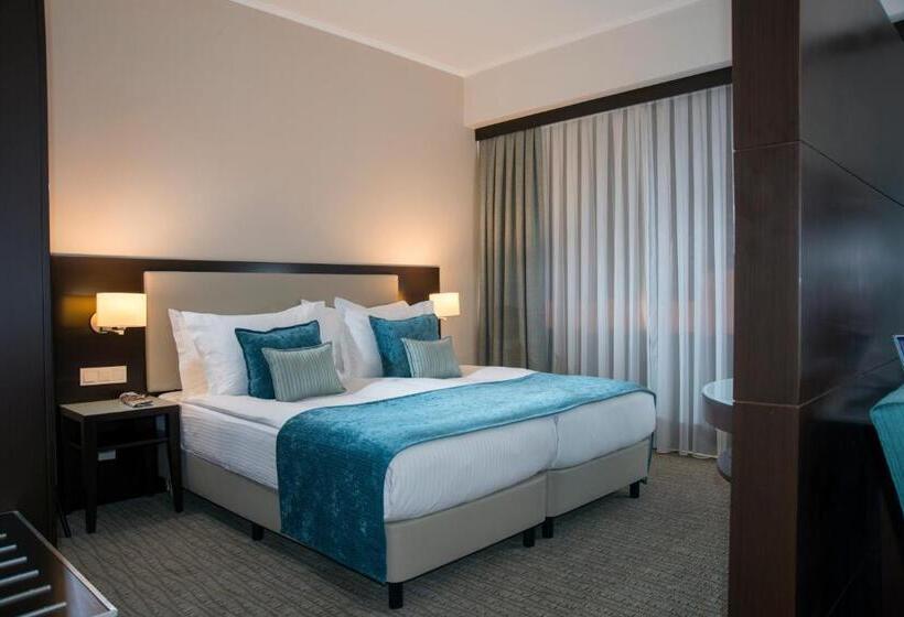 سوییت جونیور با چشم‌انداز شهر, Radisson Blu  Ankara