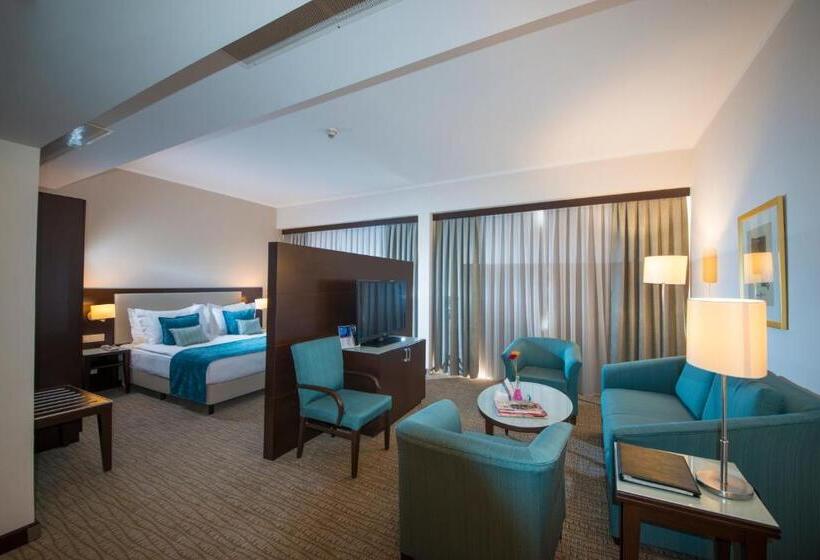 Junior Suite Vista Cidade, Radisson Blu  Ankara