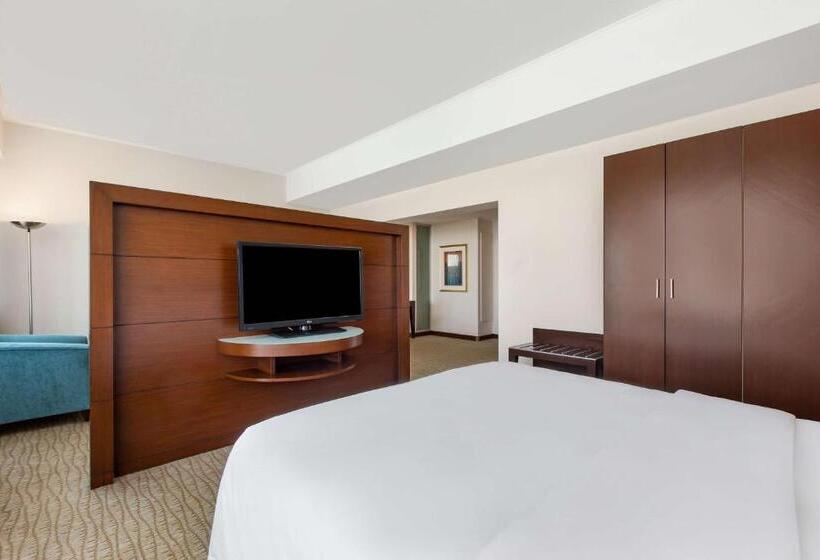 Junior Suite Vista Cidade, Radisson Blu  Ankara