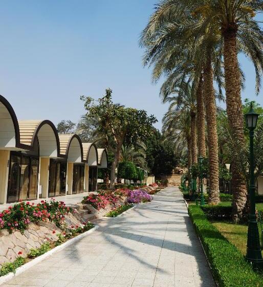 اتاق سوپریور با چشم‌انداز باغ, Pyramids Resort by Jaz