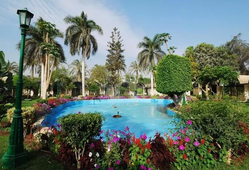اتاق لوکس با چشم‌انداز باغ, Pyramids Resort by Jaz