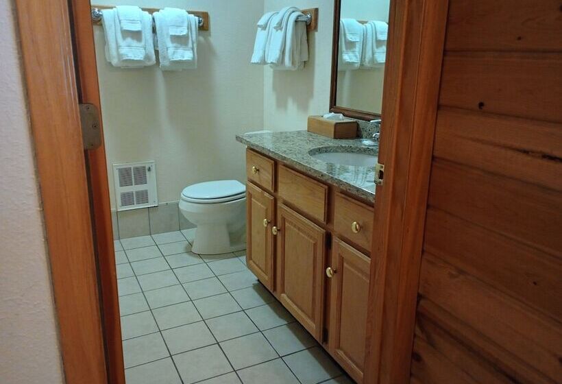 스탠다드 룸 호수 전망, Centerstone Resort Lake Aire