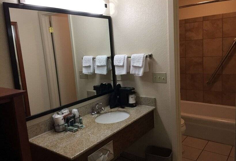 غرفه قياسيه سريرين مزدوجين, Best Western Plains Motel