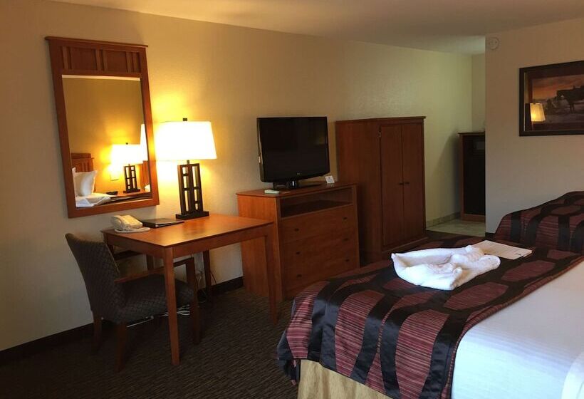 غرفه قياسيه سريرين مزدوجين, Best Western Plains Motel