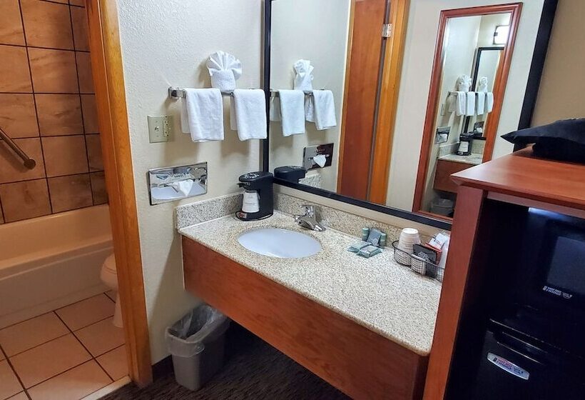 غرفه قياسيه سريرين مزدوجين, Best Western Plains Motel
