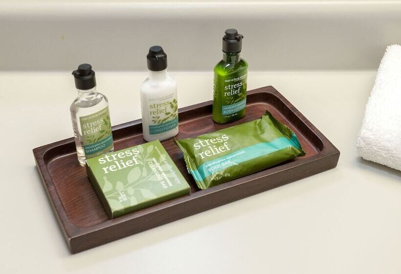 스탠다드 룸, Edgewater Hotel & Waterpark