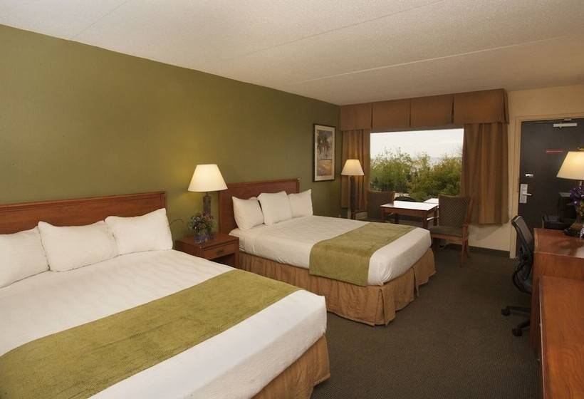 스탠다드 룸, Edgewater Hotel & Waterpark