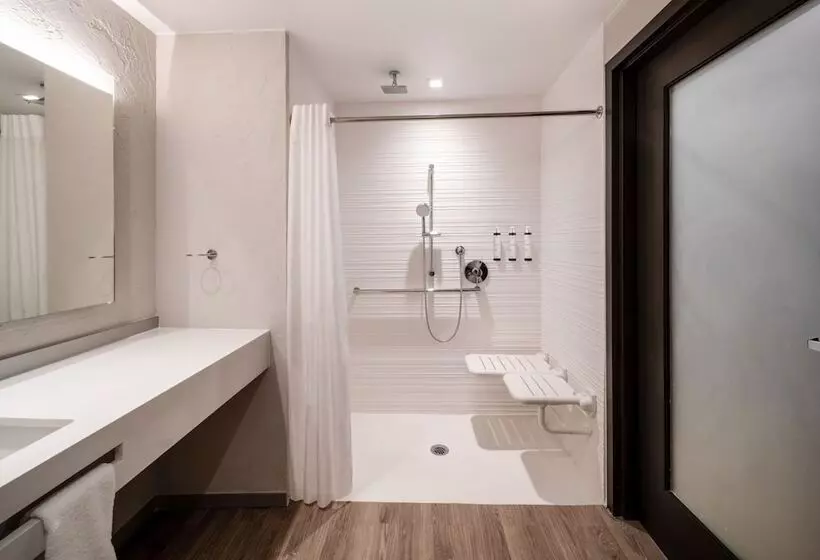 اتاق استاندارد با 2 تخت دوبل, Ac Hotel Frisco Colorado