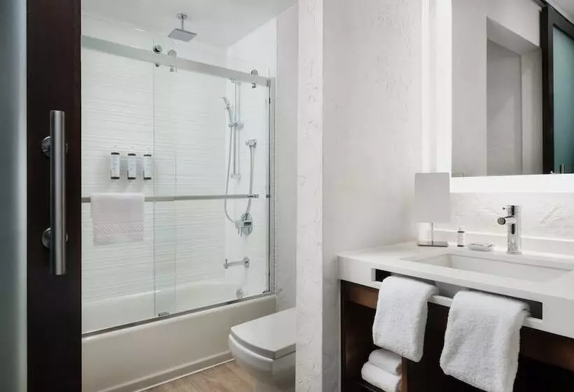 اتاق استاندارد با 2 تخت دوبل, Ac Hotel Frisco Colorado