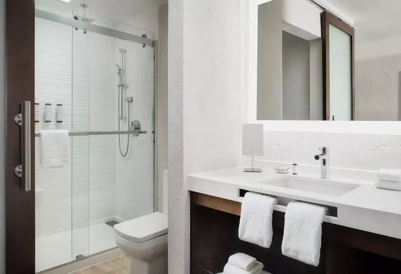 اتاق استاندارد با 2 تخت دوبل, Ac Hotel Frisco Colorado