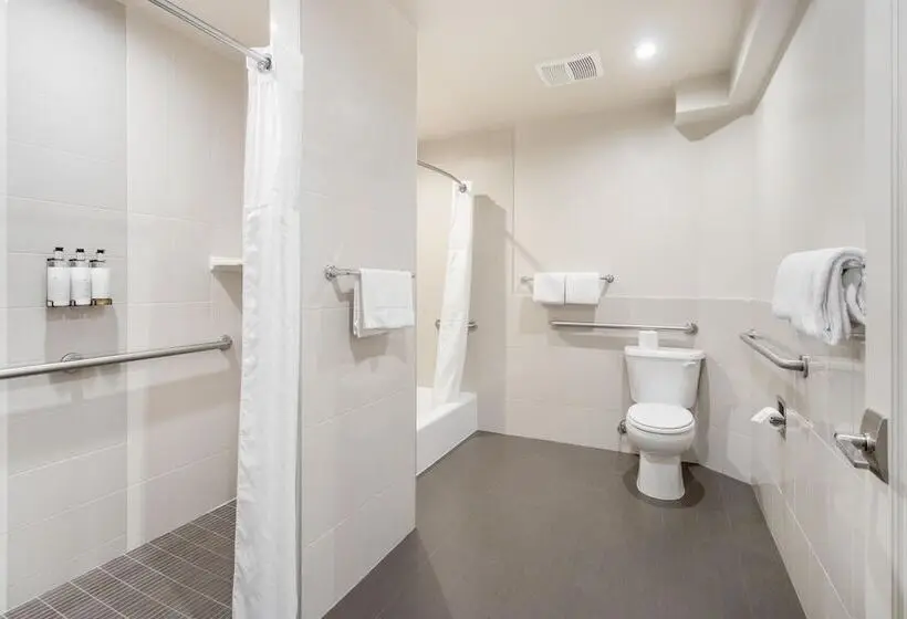 سوئیت برای معلولان, Aiden Los Angeles Downtown Dragon Gate Inn