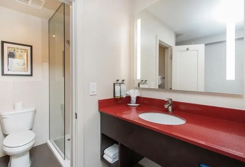 سوئیت برای معلولان, Aiden Los Angeles Downtown Dragon Gate Inn