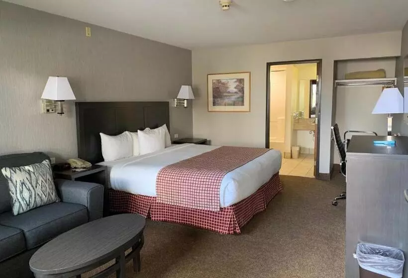キングサイズベッドのスタンダードルーム, Baymont By Wyndham Seattle/kirkland Wa