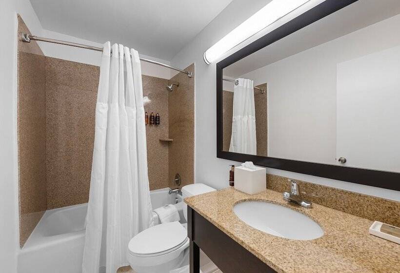 侧面带海景及夫妻床的标准公寓, Beachcomber Resort & Club