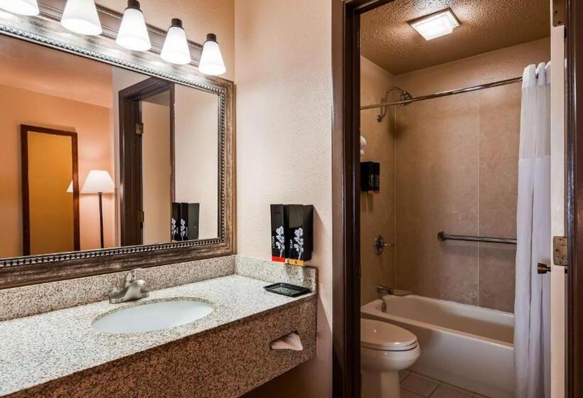 Номер Стандарт Адаптированный для Инвалидов, Best Western Bidarka Inn