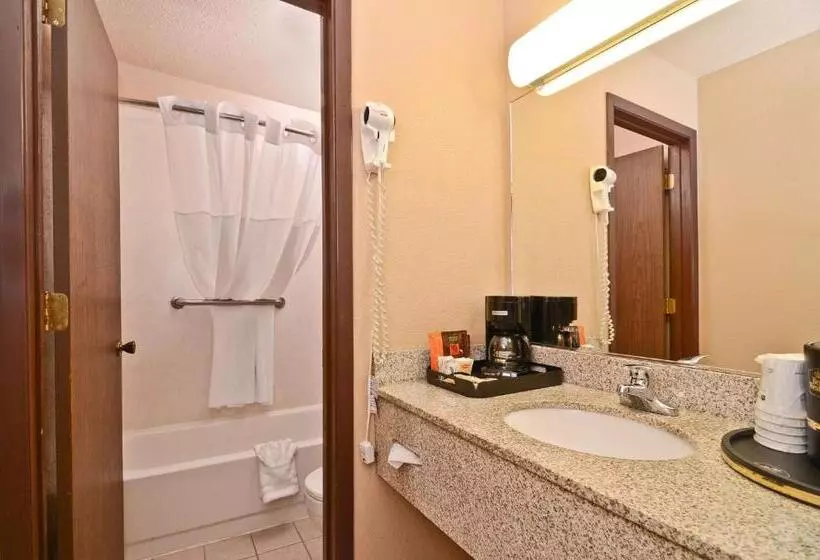 身障者適用スタンダードルーム, Best Western Bidarka Inn
