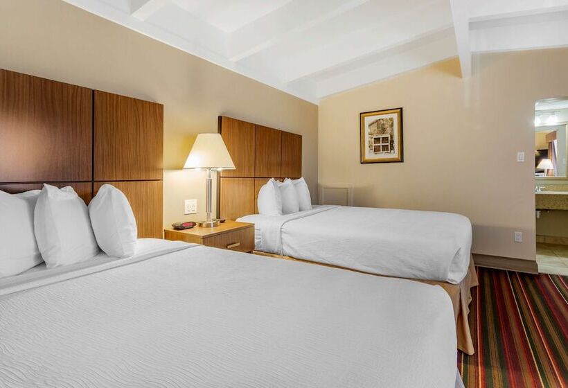 غرفه قياسيه سريرين مزدوجين, Best Western El Rancho Palacio