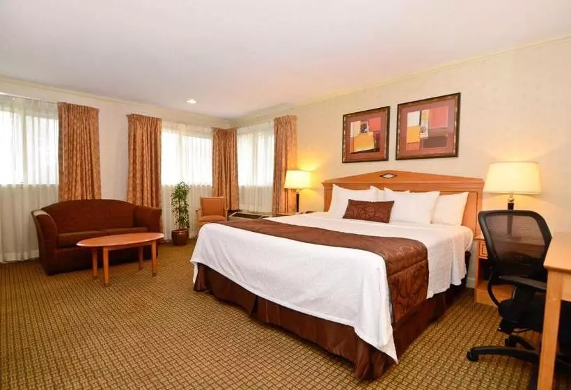 اتاق استاندارد با تخت بزرگ, Best Western Inn Santa Cruz