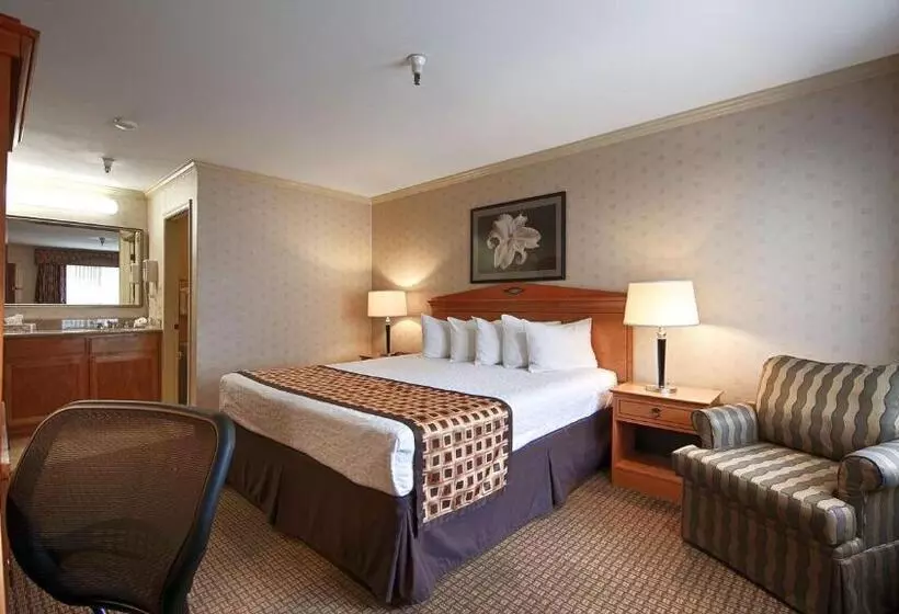 اتاق استاندارد با تخت بزرگ, Best Western Inn Santa Cruz