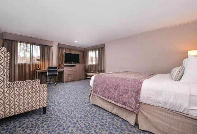 اتاق استاندارد با تخت بزرگ برای معلولان, Best Western Inn Santa Cruz