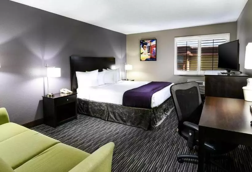 اتاق استاندارد با تخت بزرگ, Best Western Mccarran Inn