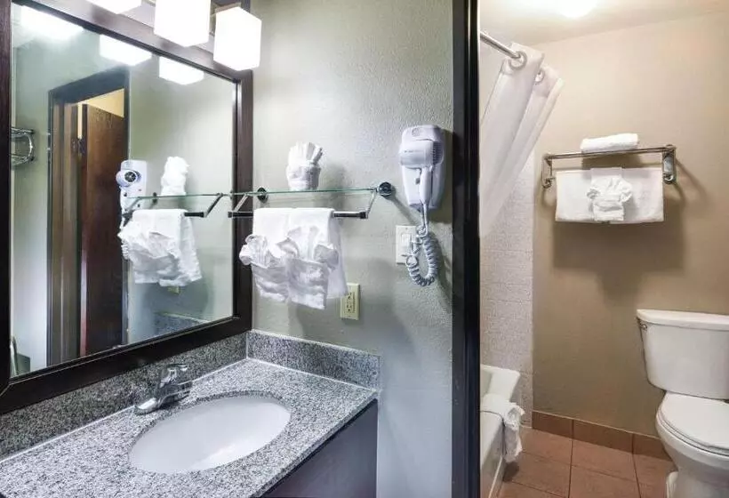 اتاق استاندارد با تخت بزرگ, Best Western Mccarran Inn