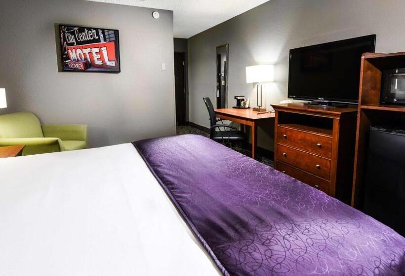 اتاق استاندارد با تخت بزرگ, Best Western Mccarran Inn