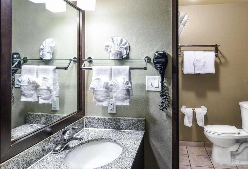 غرفة قياسية, Best Western Mccarran Inn