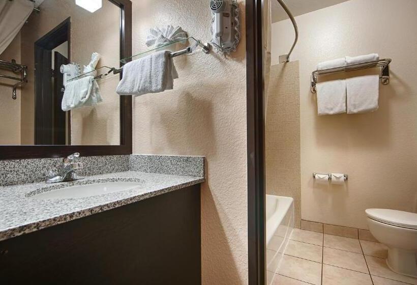 غرفة قياسية سرير كينج لذوى الإحتياجات الخاصة, Best Western Mccarran Inn