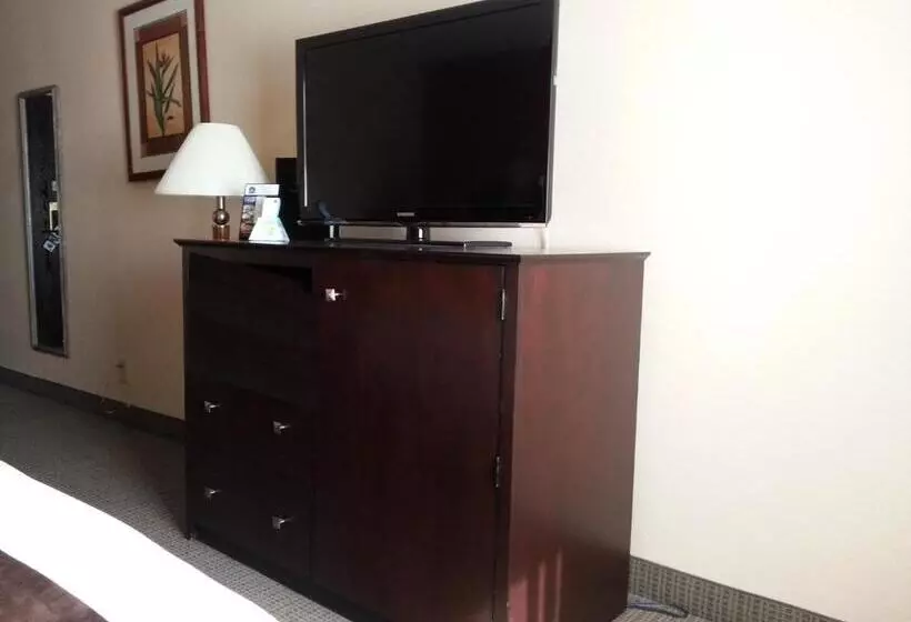اتاق استاندارد با تخت بزرگ برای معلولان, Best Western Mccarran Inn