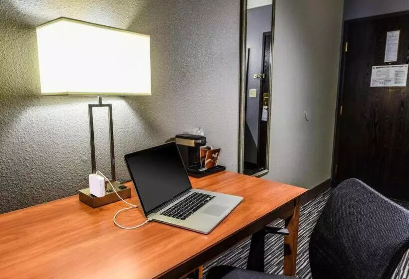 اتاق استاندارد با تخت بزرگ برای معلولان, Best Western Mccarran Inn