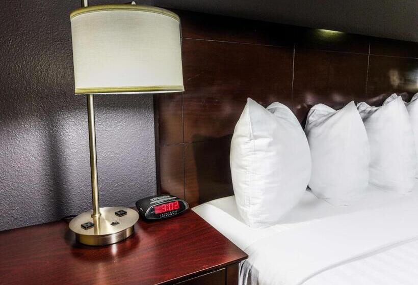 غرفة قياسية سرير كينج لذوى الإحتياجات الخاصة, Best Western Mccarran Inn