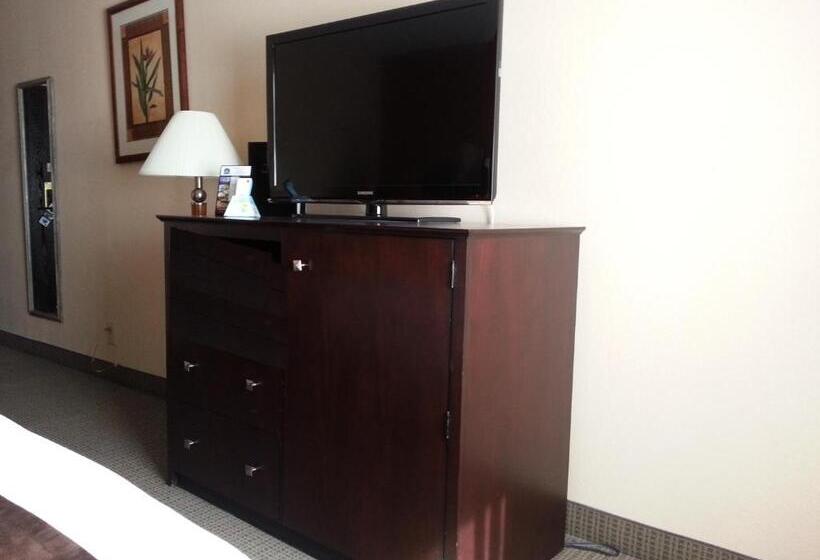 جناح سرير كينج, Best Western Mccarran Inn