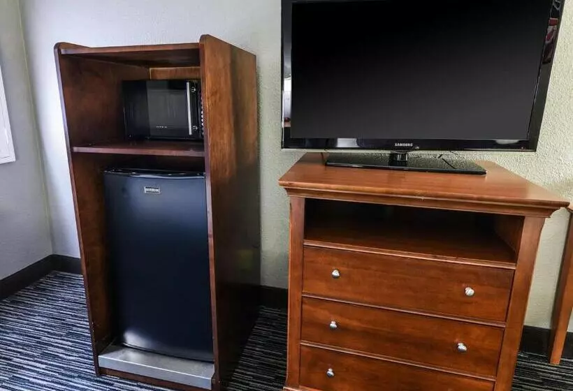 سوئیت با تخت بزرگ, Best Western Mccarran Inn