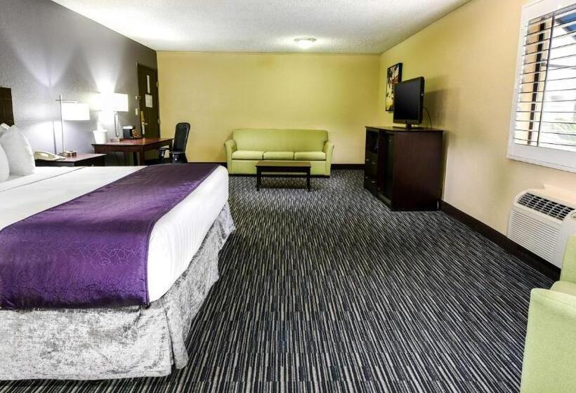 جناح سرير كينج, Best Western Mccarran Inn