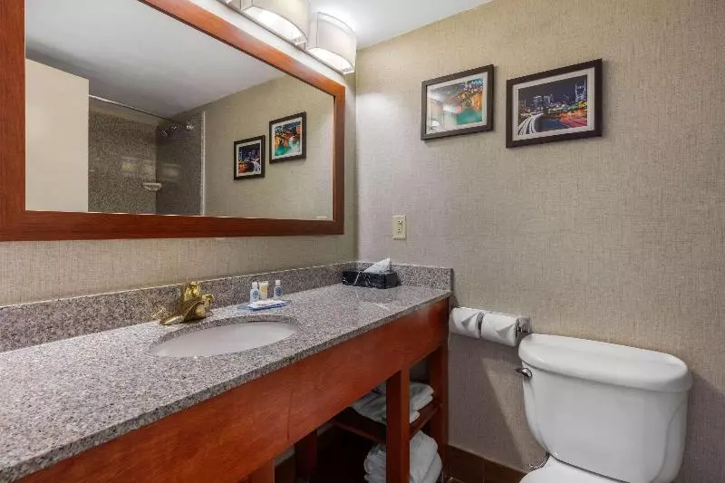 اتاق استاندارد با تخت بزرگ, Best Western Oceanside Inn