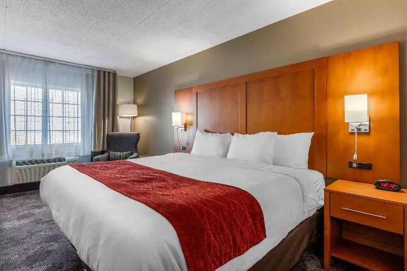 اتاق استاندارد با تخت بزرگ, Best Western Oceanside Inn