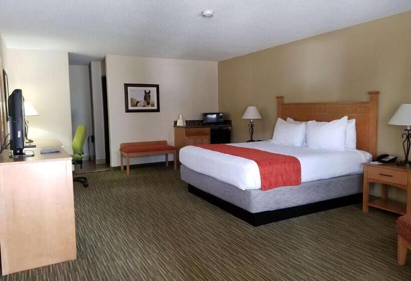 غرفة قياسية سرير كينج, Best Western Paint Pony Lodge
