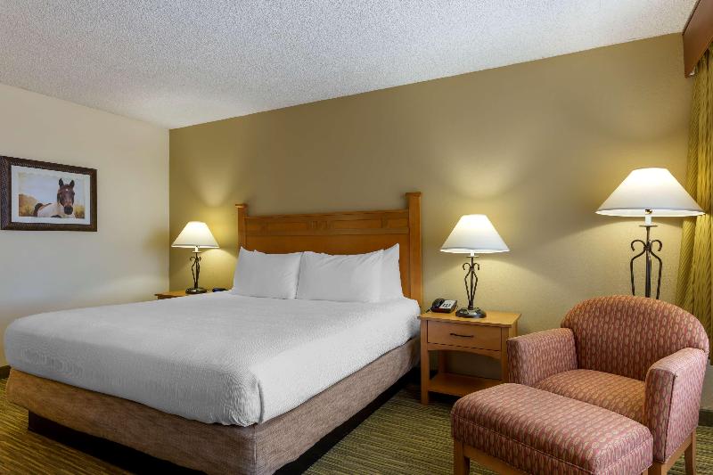 غرفة قياسية سرير كينج, Best Western Paint Pony Lodge