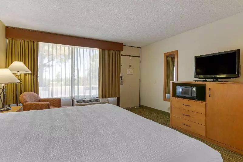 اتاق استاندارد با تخت بزرگ, Best Western Paint Pony Lodge